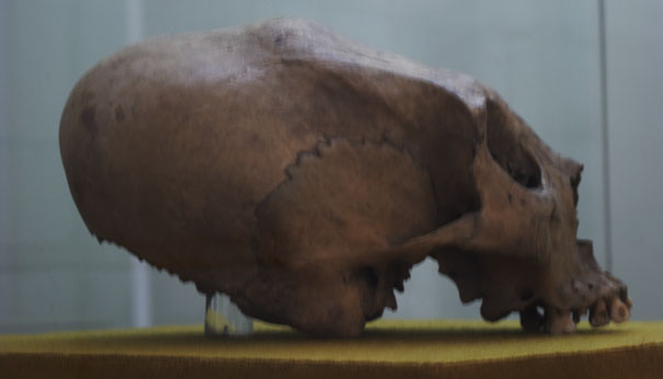 ET Skull in the Merida Museum - et influences mayans,mayan skull