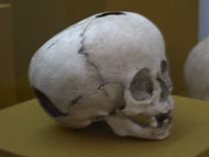Small Pumpkin Shaped ET Skull in the Merida Museum - et influences mayans,mayan skull