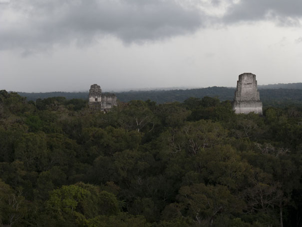 Tikal Mayan Temple