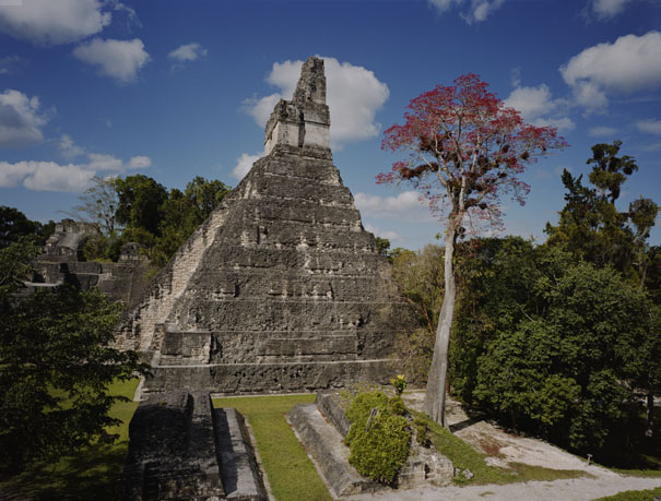 Peten Architectural Style example from Tikal.
